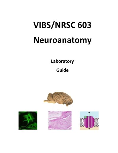 VIBS/NRSC 603 - Neuroanatomy LAB GUIDE - FALL 2022